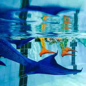 Sonntagsvormittags bieten wir in unserer Schwimmhalle Nixen-Workshops an, die für Mädchen und Jungen ab 8 Jahren geeignet sind. Alle Meerjungfrauen und Wassermänner sollten das Schwimmabzeichen in Bronze besitzen. Nixen-Workshops sind einmalige Termine und dauern 45 Minuten. 
In allen Workshops leihen wir Euch eine bunte Nixenflosse aus, Gastnixen, die ihre eigene Flosse mitbringen, sind herzlich willkommen.